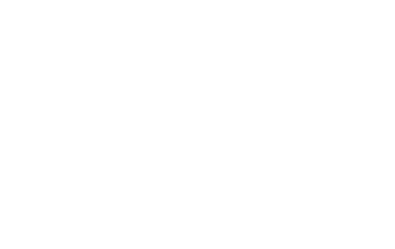 TheTouristt